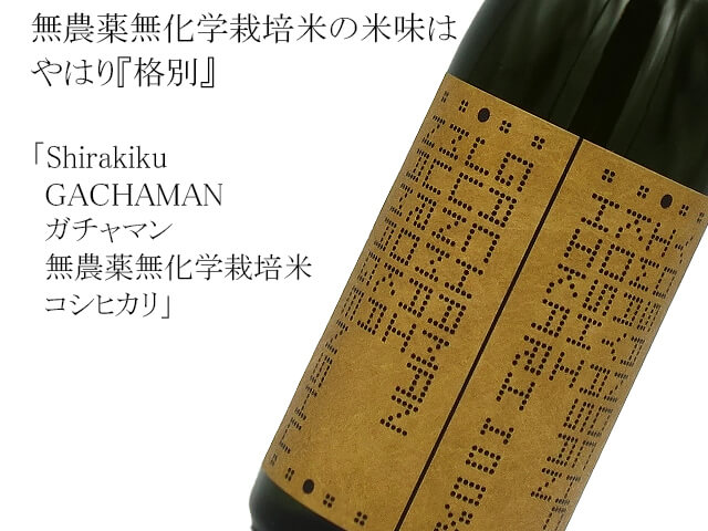 Shirakiku GACHAMAN ガチャマン　　無農薬無化学栽培米コシヒカリ（テキスト付）