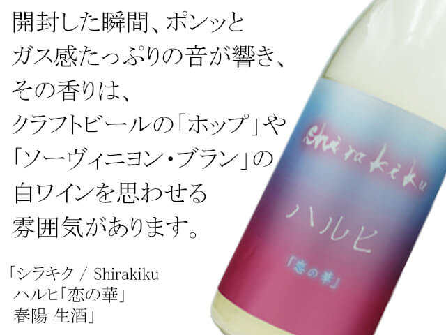 シラキク / Shirakiku ハルヒ「恋の華」 春陽 生酒(テキスト付修正版)