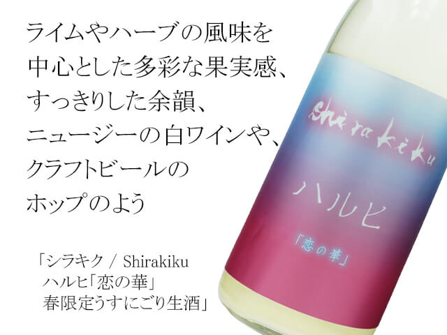 シラキク / Shirakiku ハルヒ「恋の華」春限定うすにごり生酒（テキスト付）