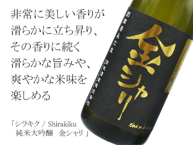 シラキク / Shirakiku  純米大吟醸　金シャリ（テキスト付）
