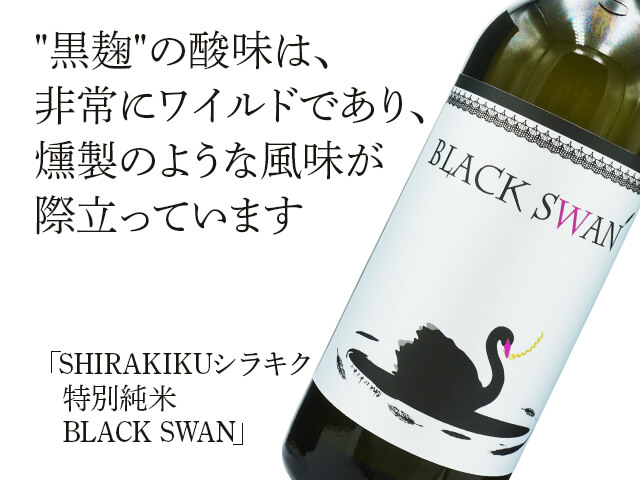 SHIRAKIKUシラキク　　特別純米　BLACK SWAN（テキスト付）