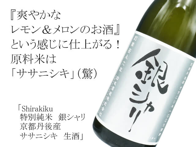 シラキク / Shirakiku 特別純米　銀シャリ　京都丹後産ササニシキ　生酒（テキスト付）