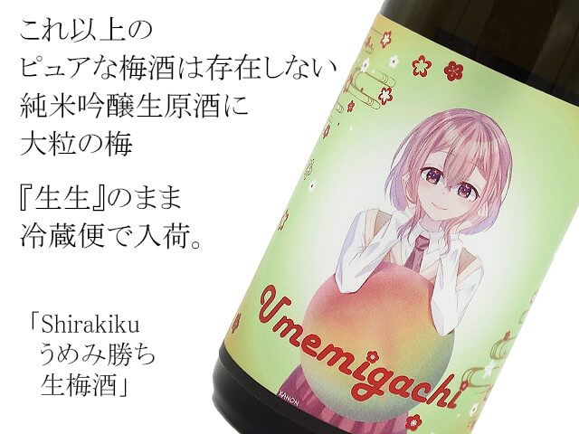 Shirakiku うめみ勝ち　生梅酒（テキスト付）