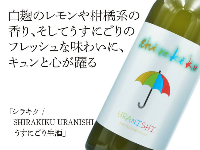 シラキク / SHIRAKIKU　URANISHI　うすにごり生酒（テキスト付）