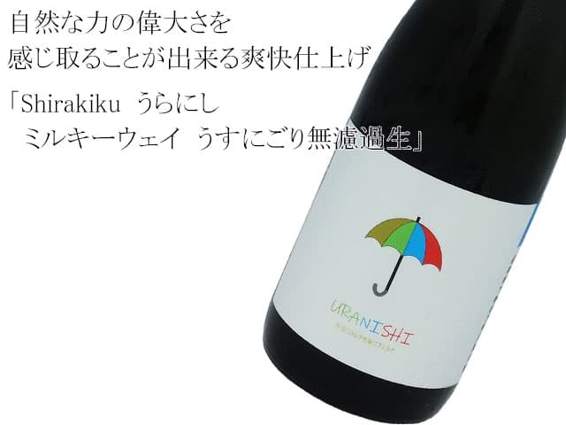 Shirakiku  うらにし　ミルキーウェイ　うすにごり無濾過生