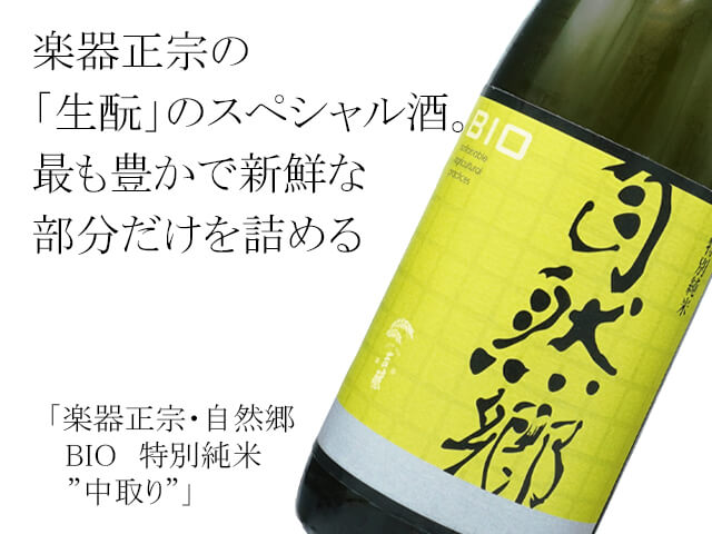 そうくん◆新品 ALGY◆ベアアップリケトレ－ナ－ 160 フィッシャーズのシルクロード×T-BASE JAPAN】シルクロードさんの第1弾