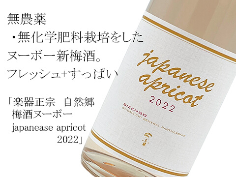 楽器正宗　自然郷　 梅酒ヌーボー　japanease apricot　2022（テキスト付）