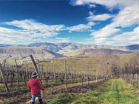 ソイルセラピーイメージ１