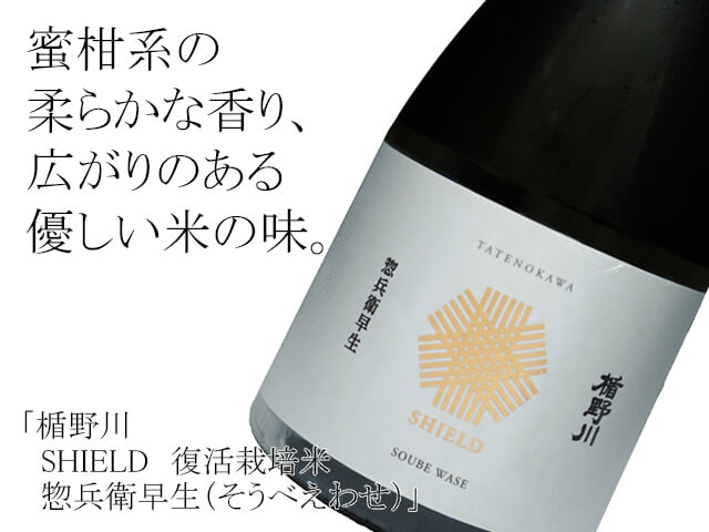 楯野川（たてのがわ）SHIELD　復活栽培米　惣兵衛早生（そうべえわせ）（テキスト付）