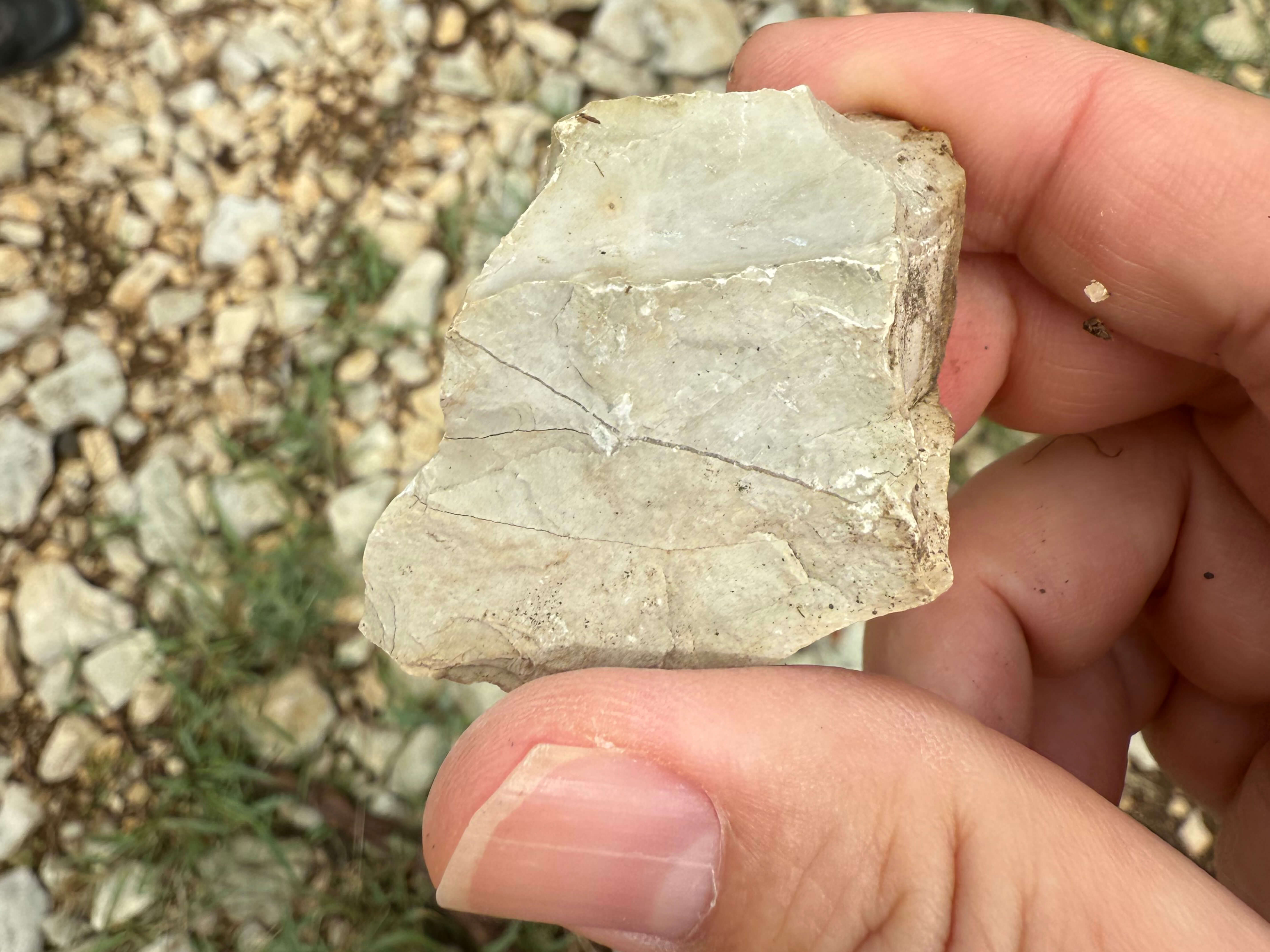 thomas-de-marne_ph06