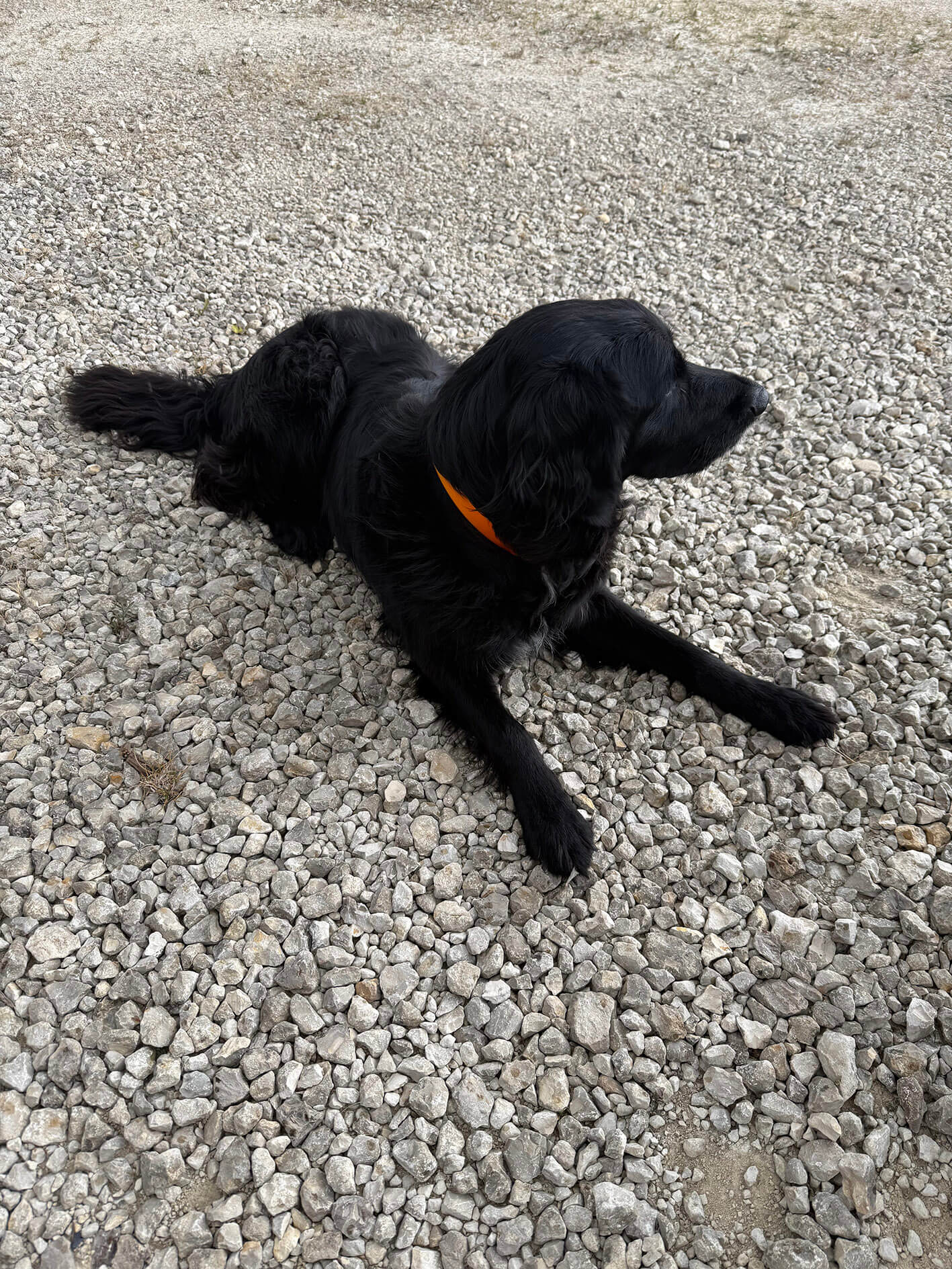 thomas-de-marne_ph07