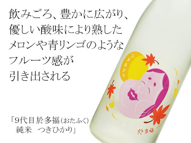 「淘宮占い 宿妊日がすべてを決める」藤田坂太郎 稀少品◆淘道 淘宮術 天源術 淘宮占い 宿妊日がすべてを決める」藤田坂太郎 稀少品◇淘道