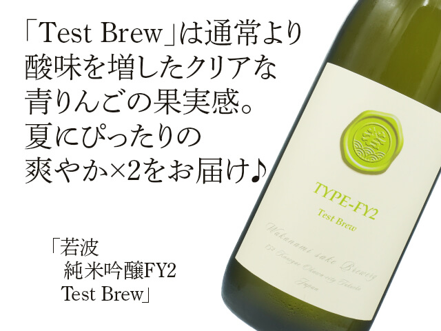 若波（わかなみ）　TYPE-FY2　Test Brew（テキスト付）