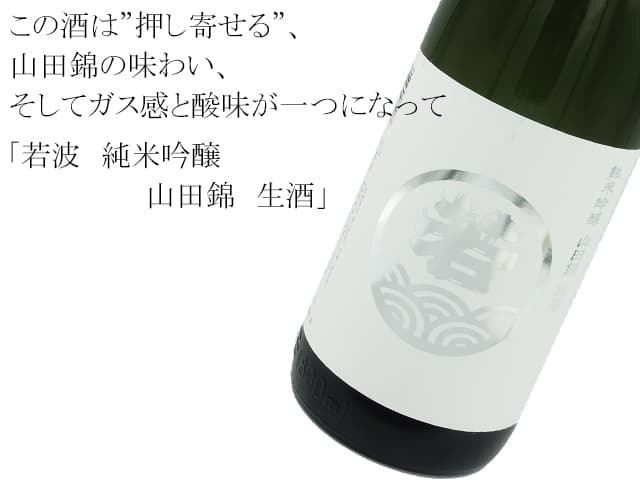 若波 純米吟醸 山田錦 生酒
