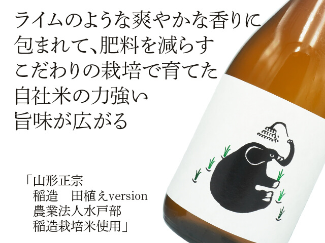 山形正宗（やまがたまさむね）　稲造　田植えversion　農業法人水戸部稲造栽培米使用