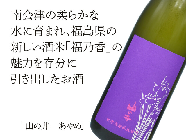 山の井　あやめ （テキスト付）