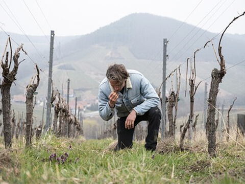 ヤニックメッカートイメージ２