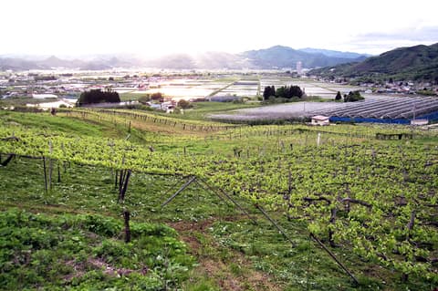 蔵王ウッディファーム